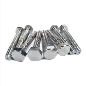 Duplex  2205  Heavy Hex Nut