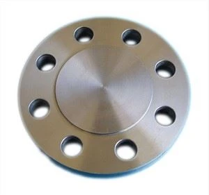 S31803 BLINDFLENS
